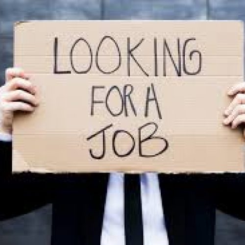 Where you should look for a job if you can’t break into consulting, according to a Harvard career advisor