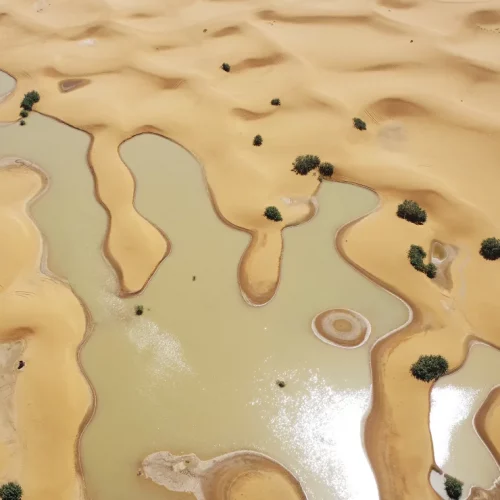 Read more about the article The Sahara Desert flooded for the first time in decades. Here’s what it looks like