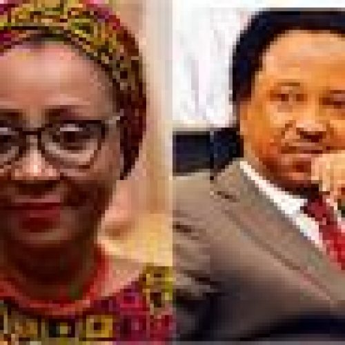 Mixed reactions as El-rufai’s Wife taunts Shehu Sani on Twitter