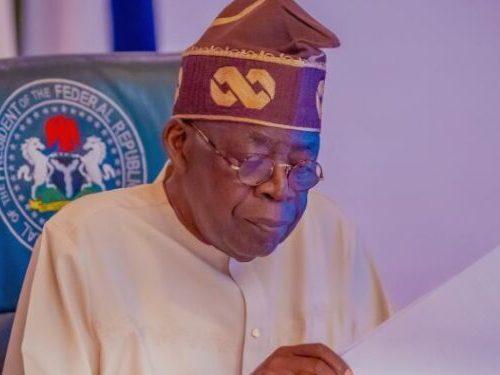 Read more about the article Fuel subsidy removal saves Nigeria $7.5 billion annually – Presidency