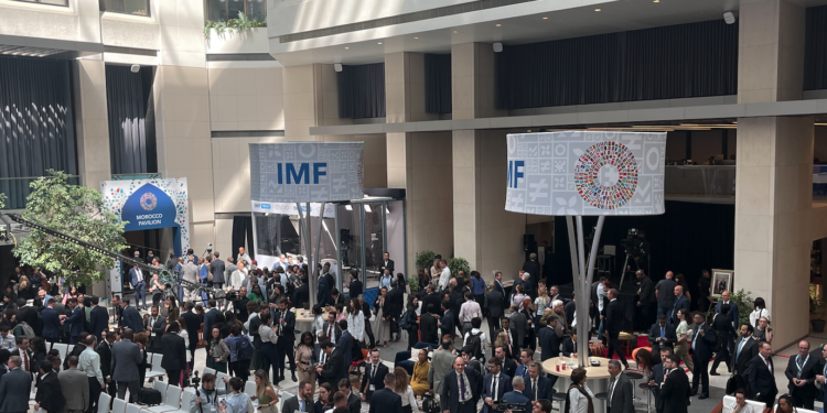You are currently viewing Why IMF reforms keep failing in Nigeria and across Africa