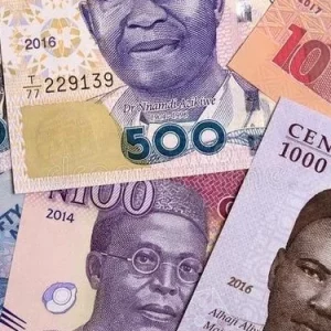 Naira 735x375 2