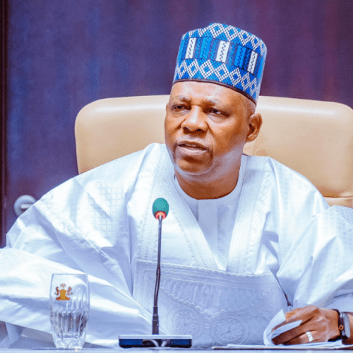 Read more about the article FG attracted $1.27bn capital from BRICS countries – Shettima