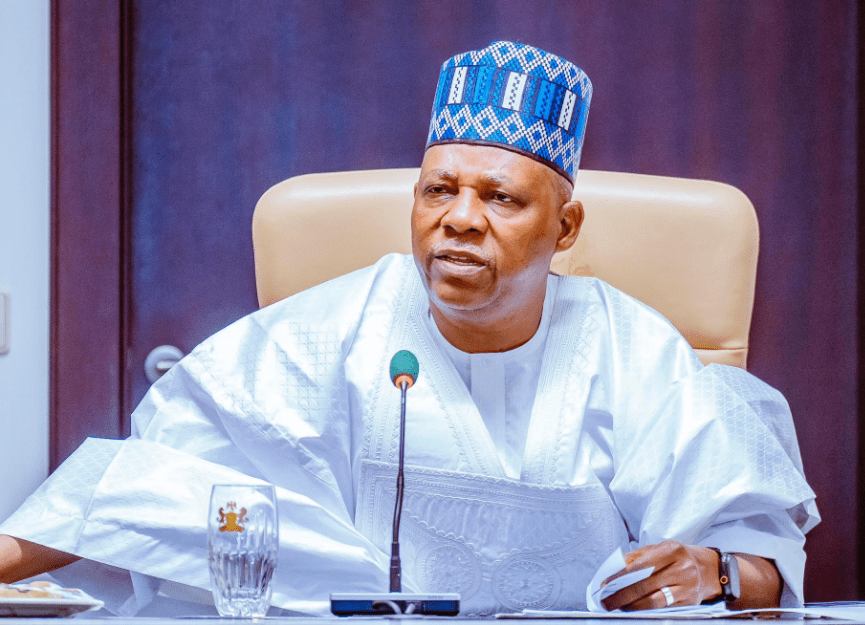 You are currently viewing FG attracted $1.27bn capital from BRICS countries – Shettima