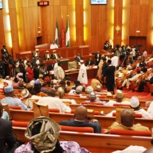 Senate moves to strengthen parliamentary relations abroad 696x407 1