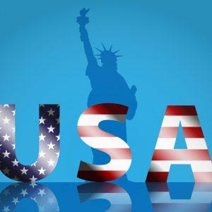 USA lettering and the Statue of Liberty silhouette
