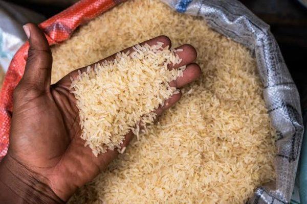 You are currently viewing Imported rice price jumps by 114% as FG delays duty-free food policy