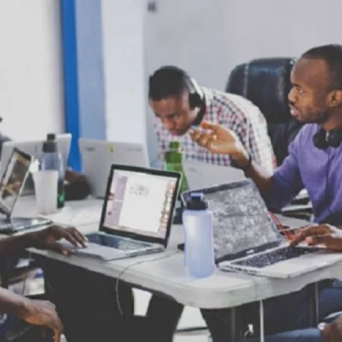 Nigerian businesses tell CBN they plan to hire more in November as “optimism” rises