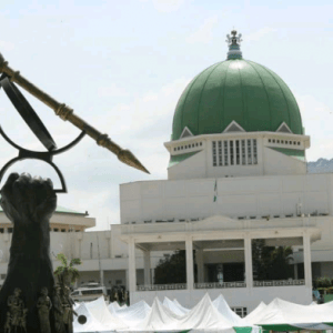 national assembly nass 1024x576 1 696x392 1