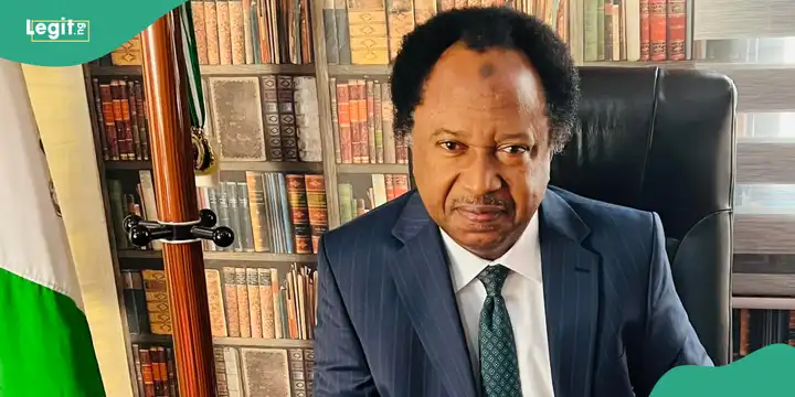 You are currently viewing Non-Refundable Visa Fees: Shehu Sani Makes Serious Allegation Against Western Embassies