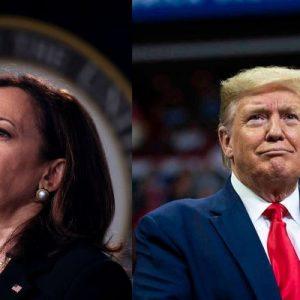 trump and kamala