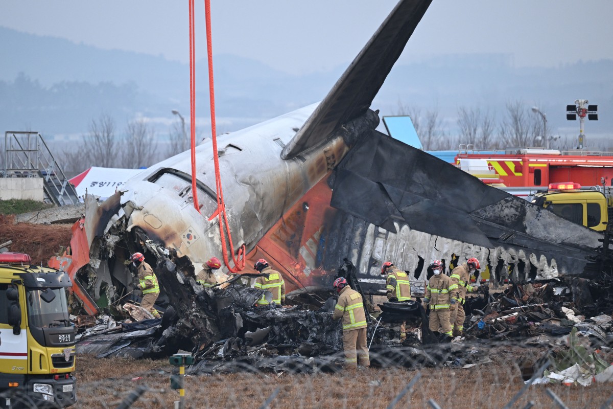 You are currently viewing FG sympathises with S’Korea as 179 die in plane crash