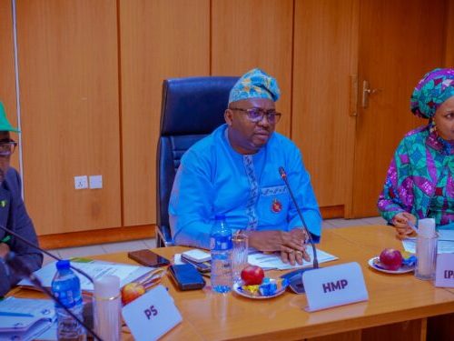 Read more about the article Presidency tasks Adelabu to fast-track NMMP, Katsina Hybrid/Solar Plant, others 