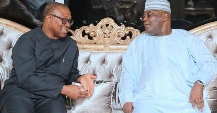 You are currently viewing Atiku, Obi unite in Adamawa to celebrate American varsity