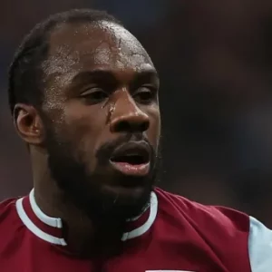 D9A8CDD9 E357 47B5 96D7 666F5A8C4E8D 604x340 1