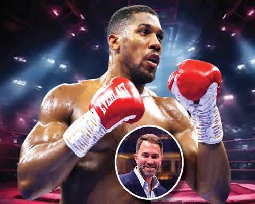 Read more about the article Hearn confirms Joshua’s 2025 return date