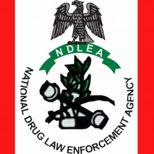 National Drug Law Enforcement Agency