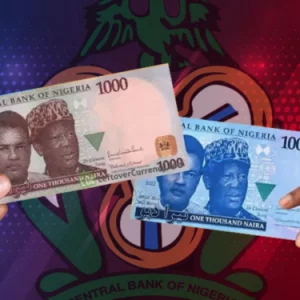 Old and New Naira notes 750x375 1