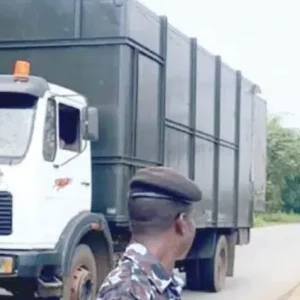 Screenshot 20241218 063305 Drive