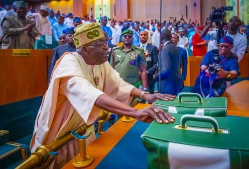 Read more about the article Why Fed Govt proposed N4.91tr for security, defence in 2025 plan