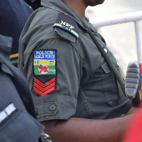 Read more about the article Foreign certificates: Police arrest suspected int’l fraudsters in Lagos