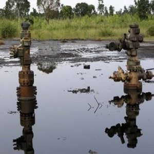 oil spill in Ogoni 0