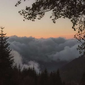 pexels ahmetyuksek 29582946 1080x721 1