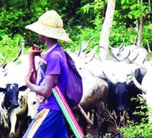 A herder