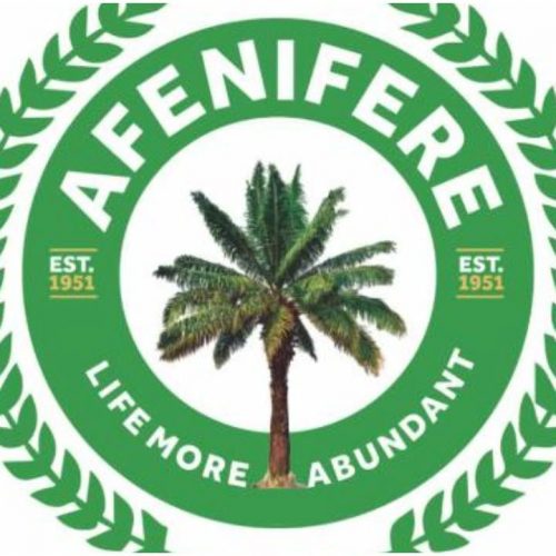 Read more about the article Afenifere, CAN, others oppose push for Sharia in S’West
