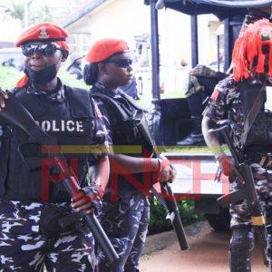 Copy of tin 20240919 213351 0000