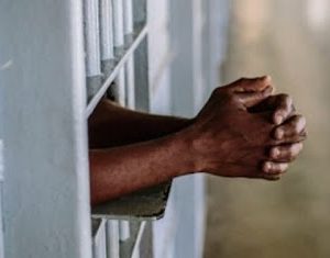 FB IMG 1737539022572