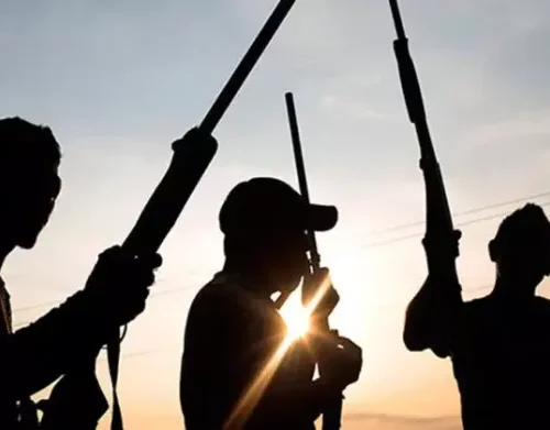 Read more about the article Terrorists attack Nigeria’s border facilities