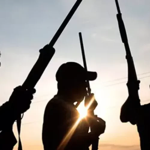 JUST IN: Mother, Son Killed In Fresh Benue Attack