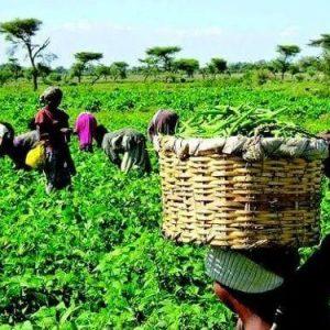 NDE training farmers 1 700x375 1