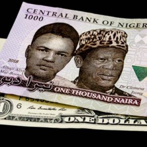 Naira Devaluation How Nigerians are reacting to exchange rate unification 700x375 1
