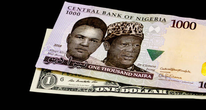 You are currently viewing BDCs explain why Naira will be strong in 2025 