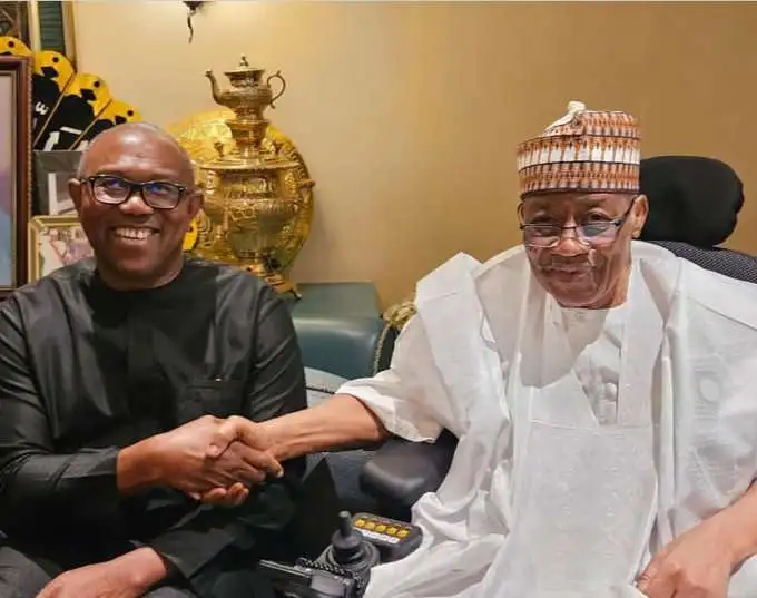 You are currently viewing Peter Obi Under Fire Over Visit To Former Military President, General IBB