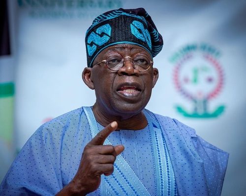 Read more about the article Renewed hope for Ogoni as Tinubu makes fresh moves