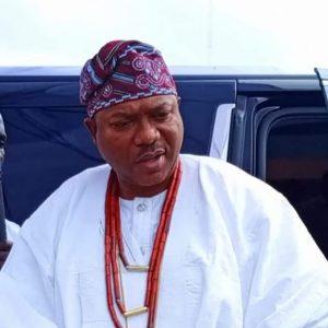 WhatsApp Image 2025 01 08 at 1.42.53 PM