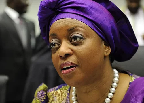 Read more about the article US govt returns $52.88m linked to ex-Petroleum Minister, Diezani