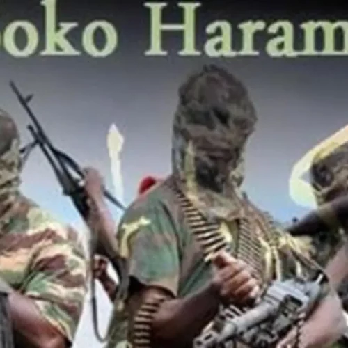 Read more about the article Why boko haram, bandits thrive: How NGOs, others aid terrorists — Former generals, commanders