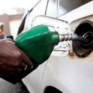 Fresh concerns over fuel price increase as oil price hits $81/barrel 3 image 3