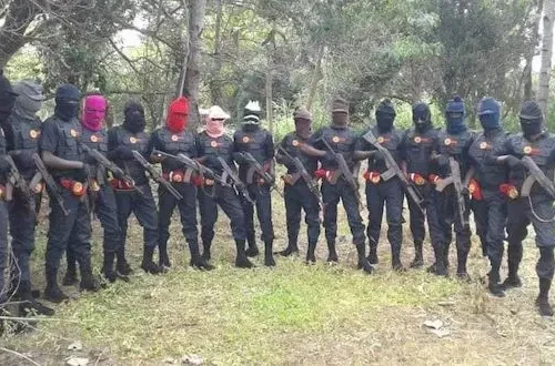 Read more about the article We’ll join security outfits to eject ISWAP, criminal herdsmen from Igboland —IPoB