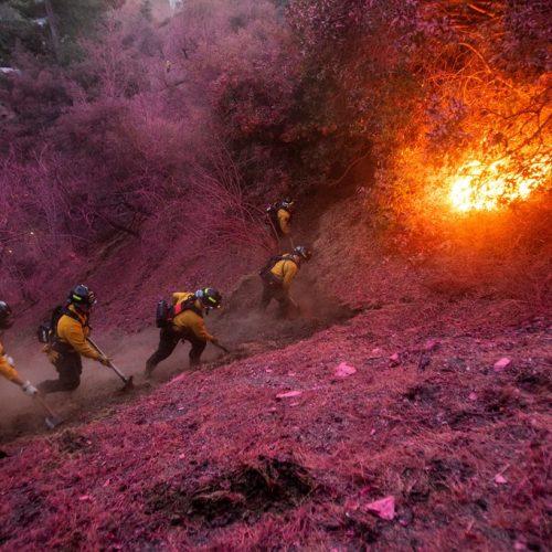 Read more about the article LA fires latest: At least 24 killed as high winds expected to fan flames