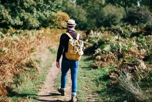 Read more about the article Walking indoors or outdoors? Science reveals the better choice