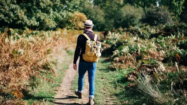 You are currently viewing Walking indoors or outdoors? Science reveals the better choice