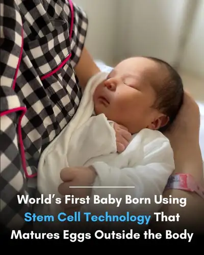 Read more about the article World’s First Baby Born Using Stem Cell Technology That Matures Eggs Outside The Body