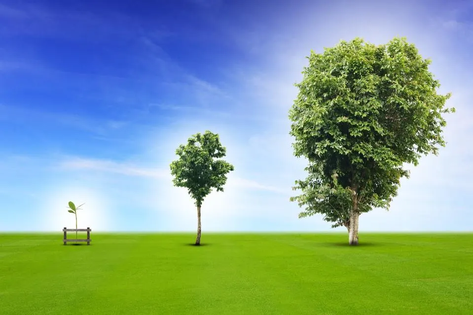 You are currently viewing How To Lead A Small Business — 4 Strategies For Big Growth