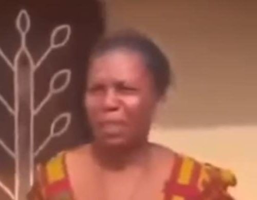 Read more about the article Anambra Catholic priest flogs 50-year-old widow for demanding salary increment