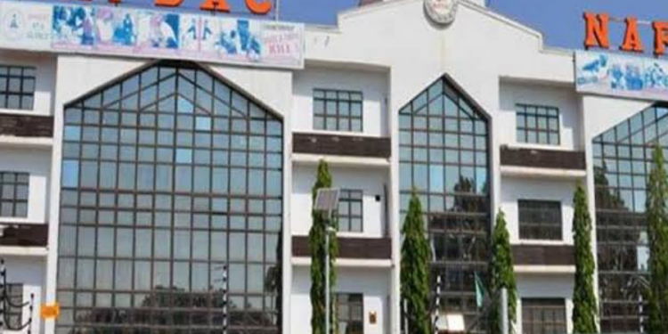 You are currently viewing NAFDAC DG seeks death penalty, life sentences for drug peddlers in Nigeria 